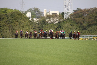 第71回 皐月賞: Dream In Turf Side