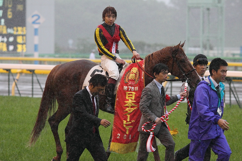第78回 日本ダービー(オルフェーヴル): Dream In Turf Side 第78回 日本ダービー(オルフェーヴル): Dream In Turf Side
